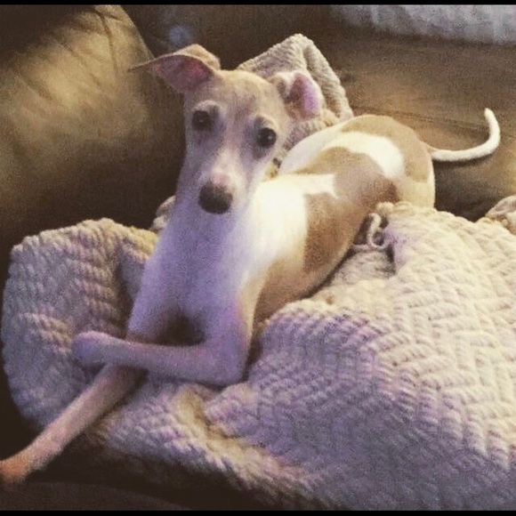 Meet Your Posher, Jordan! - Picture 3 of 4